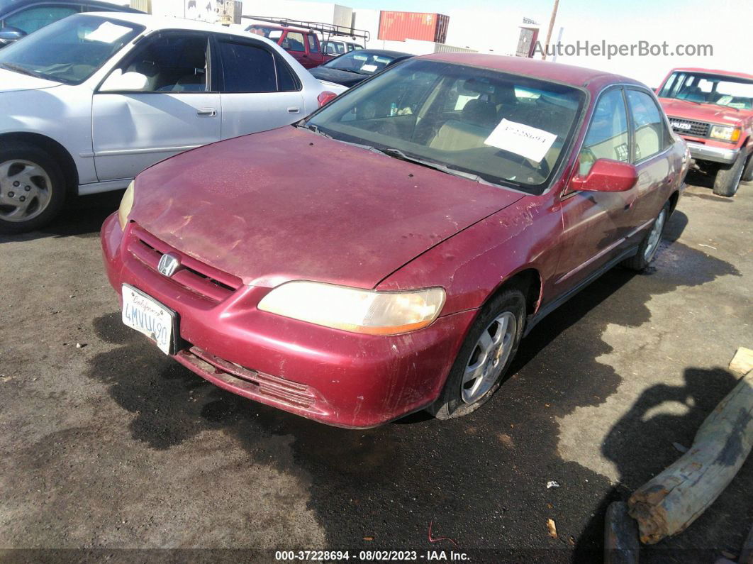 2000 Honda Accord Sdn Se Red vin: JHMCG5673YC011335