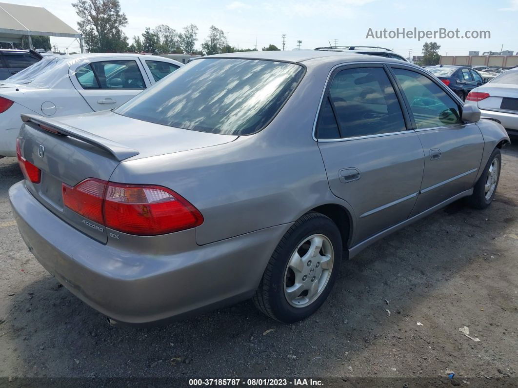 2000 Honda Accord Sdn Ex Gray vin: JHMCG6671YC009234