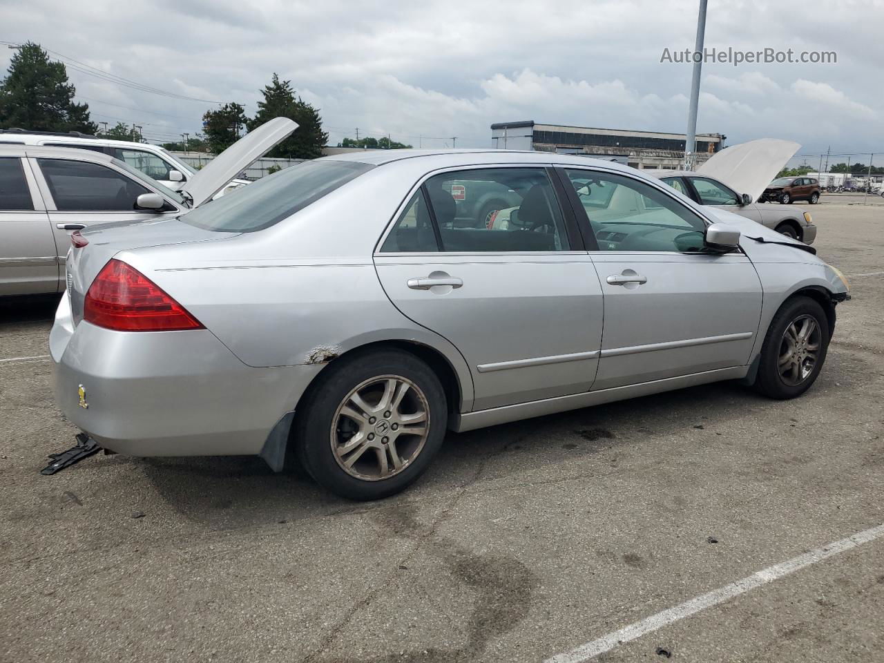 2007 Honda Accord Se Silver vin: JHMCM56307C014441