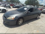 2007 Honda Accord 2.4 Se Gray vin: JHMCM56387C019905