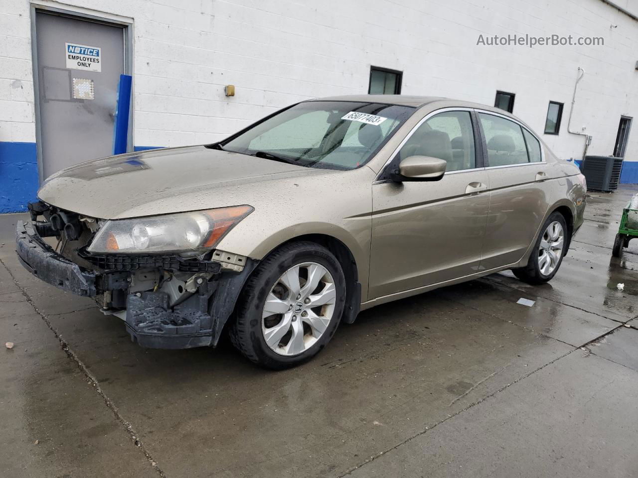 2008 Honda Accord Exl Золотой vin: JHMCP26808C030836