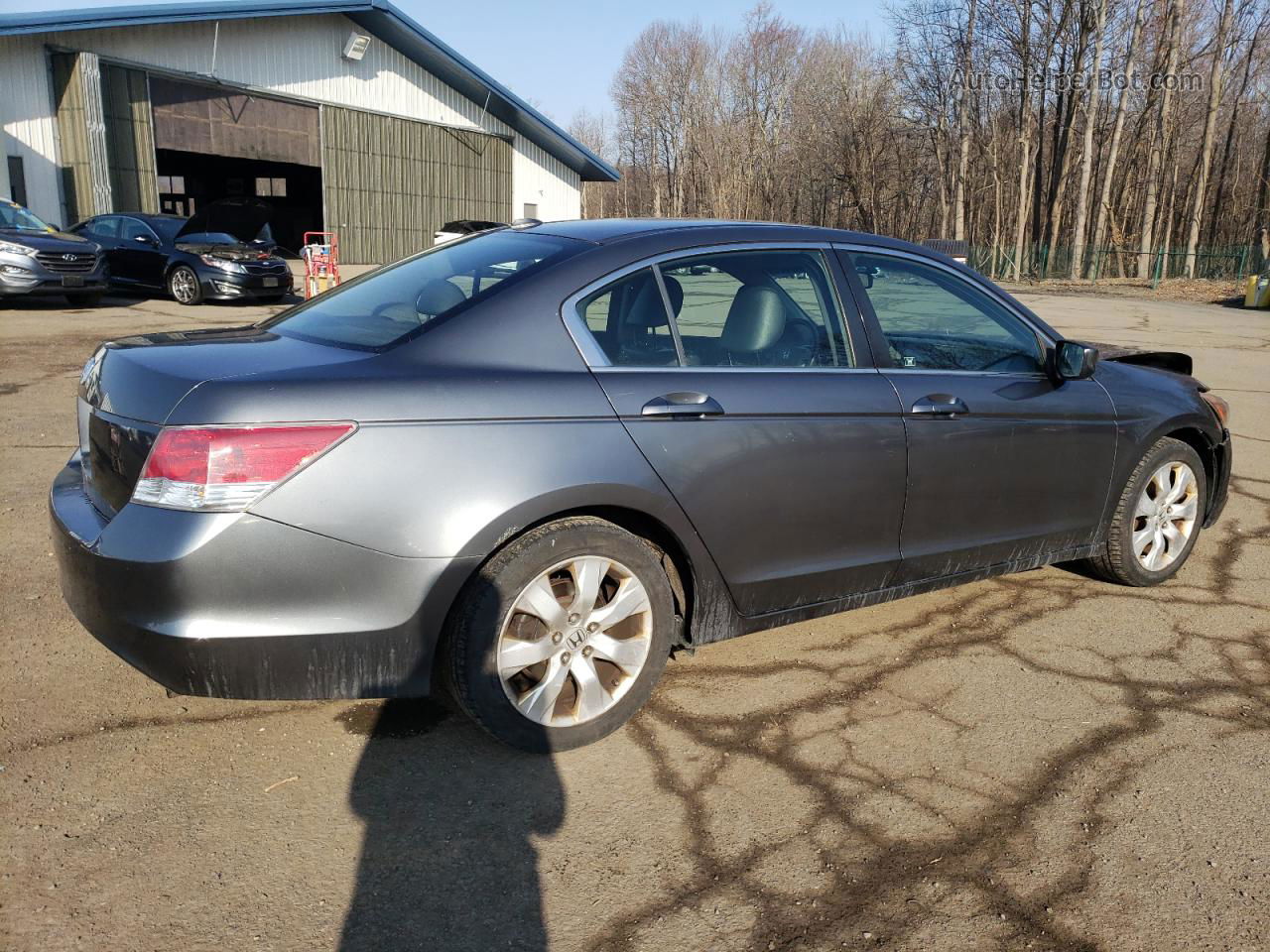 2009 Honda Accord Exl Gray vin: JHMCP26809C010510