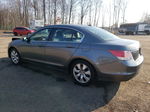 2009 Honda Accord Exl Gray vin: JHMCP26809C010510