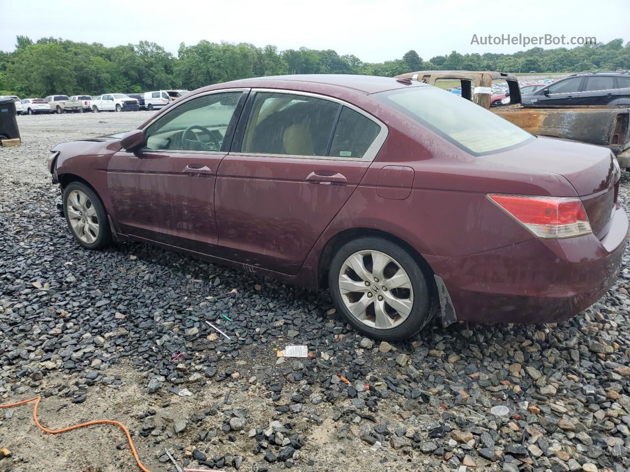 2008 Honda Accord Exl Burgundy vin: JHMCP26818C078572