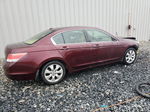 2008 Honda Accord Exl Burgundy vin: JHMCP26818C078572