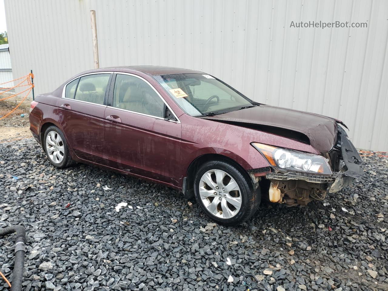 2008 Honda Accord Exl Burgundy vin: JHMCP26818C078572