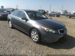 2008 Honda Accord Sdn Ex-l Gray vin: JHMCP26828C004917