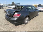 2008 Honda Accord Sdn Ex-l Gray vin: JHMCP26828C004917