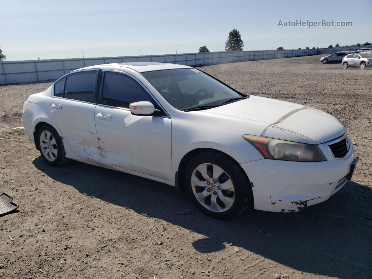 2008 Honda Accord Exl Белый vin: JHMCP26828C009969