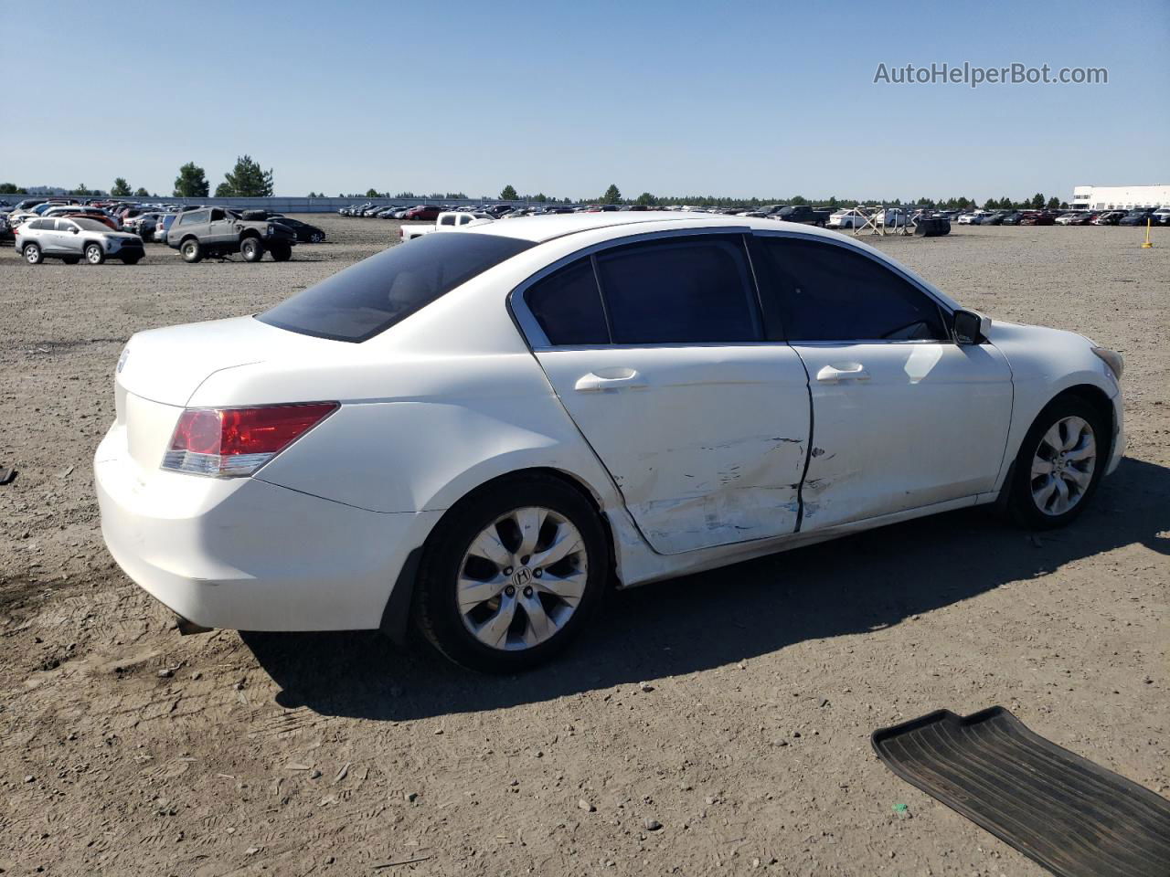 2008 Honda Accord Exl Белый vin: JHMCP26828C009969