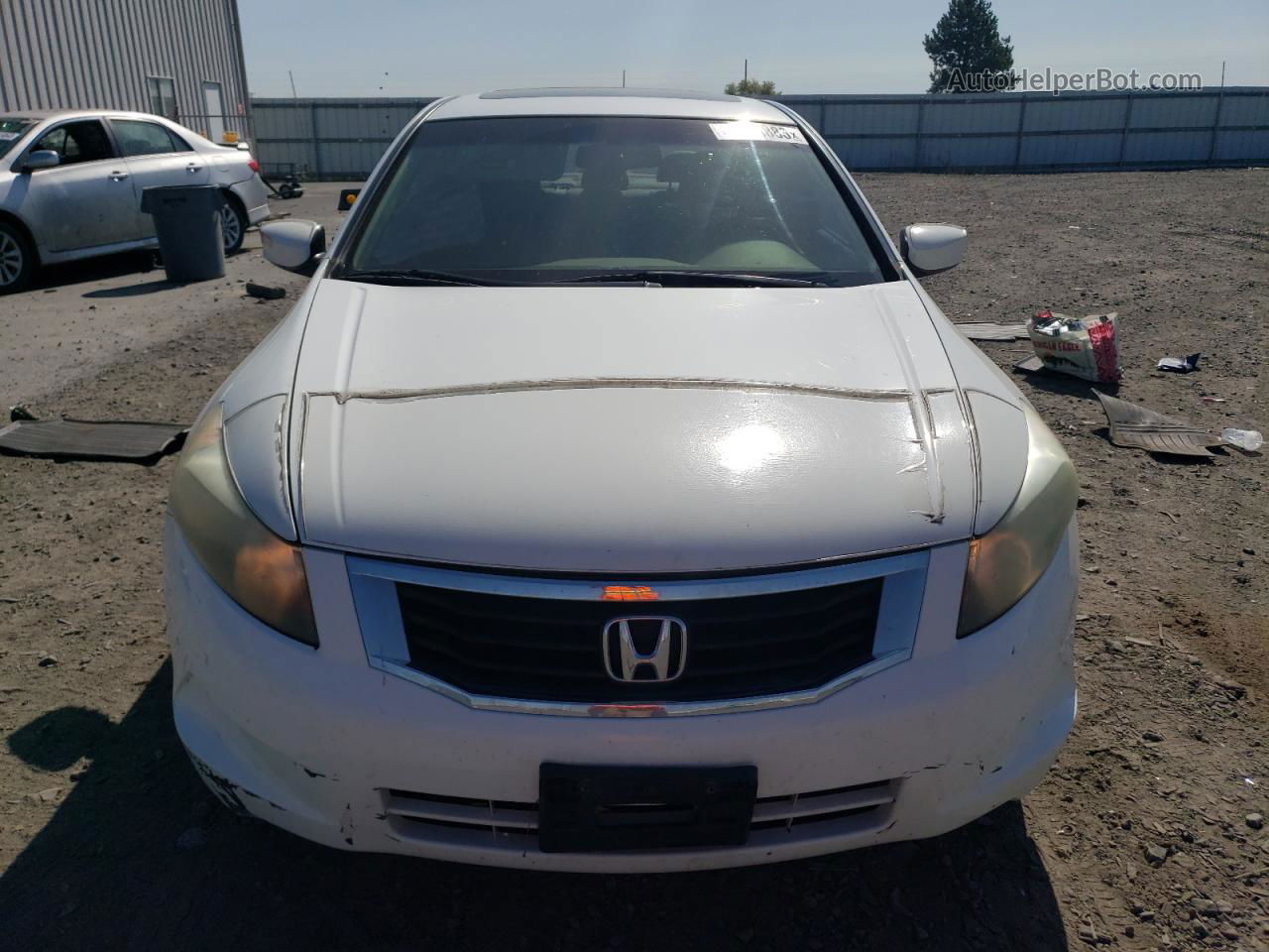 2008 Honda Accord Exl Белый vin: JHMCP26828C009969