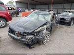 2009 Honda Accord 2.4 Ex-l Черный vin: JHMCP26829C003011