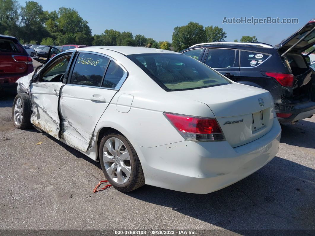 2008 Honda Accord Sdn Ex-l Белый vin: JHMCP26848C066948