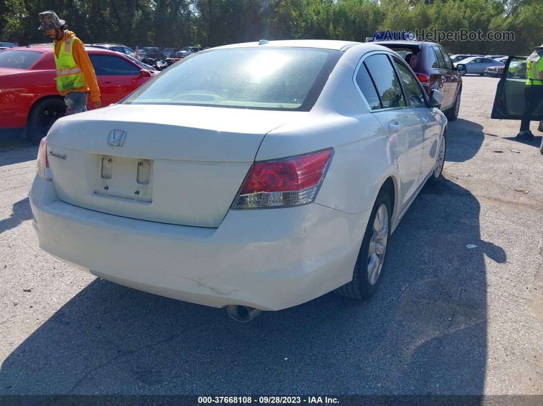 2008 Honda Accord Sdn Ex-l Белый vin: JHMCP26848C066948