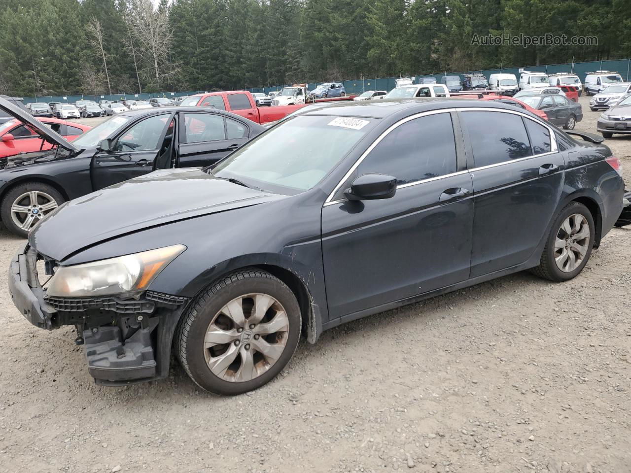 2008 Honda Accord Exl Black vin: JHMCP26898C055959