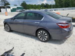 2017 Honda Accord Hybrid Exl Gray vin: JHMCR6F52HC027380