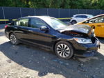 2017 Honda Accord Hybrid Exl Black vin: JHMCR6F53HC025167