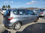 2009 Honda Fit  Silver vin: JHMGE87219S040321