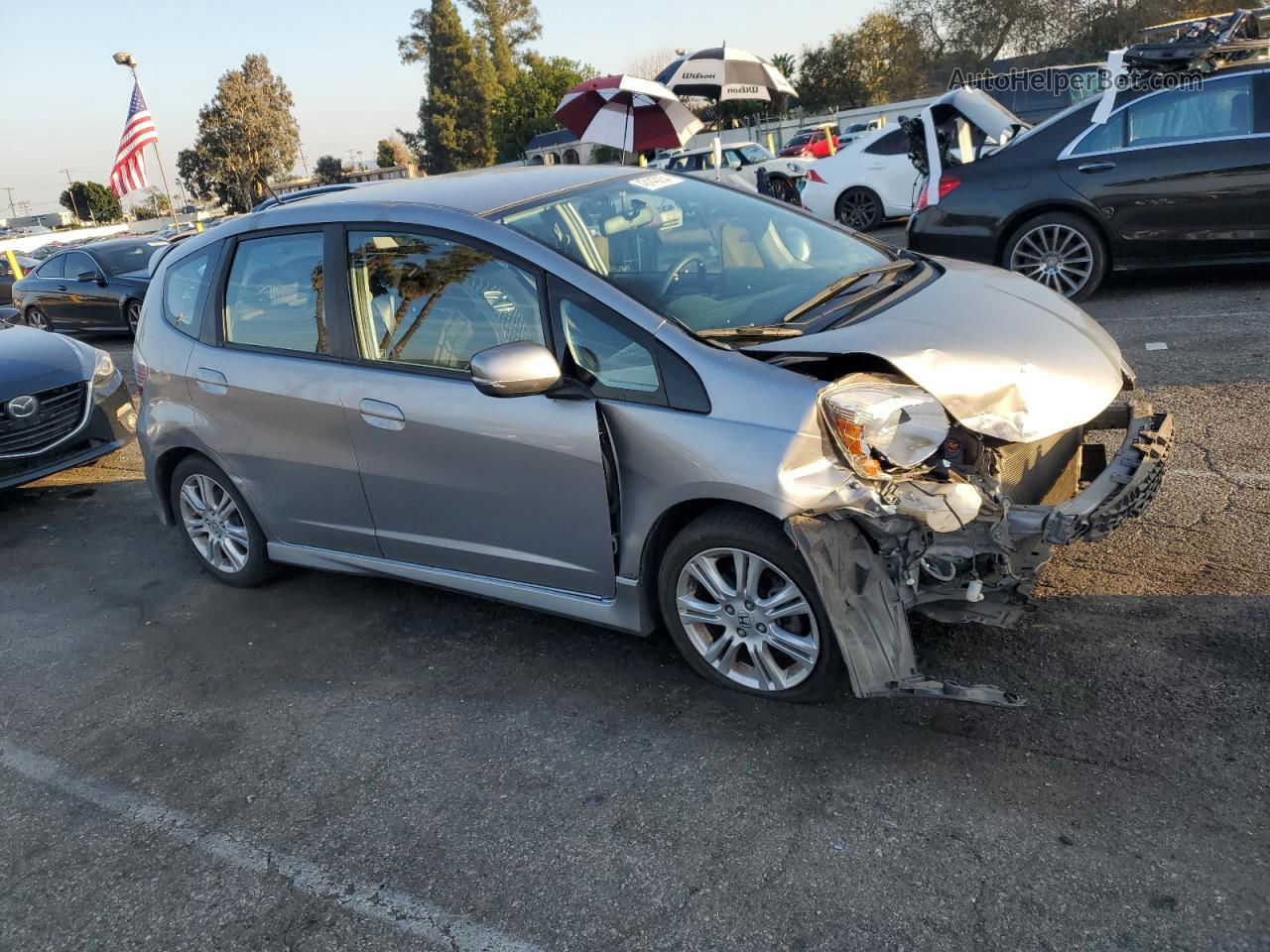 2009 Honda Fit Sport Silver vin: JHMGE88409S012462