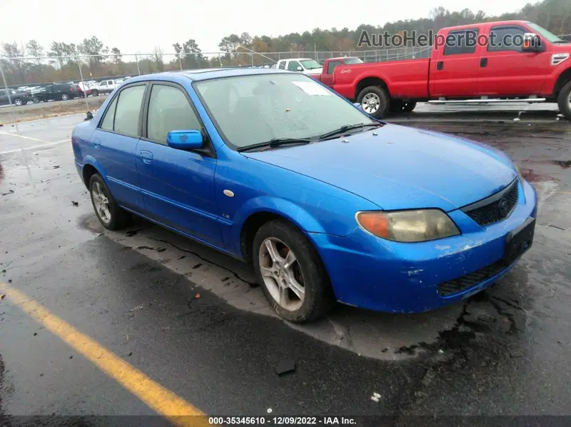 ブルー m.i様 000000001052_VouimLD.jpg