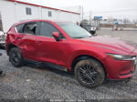 2021 Mazda Cx-5 Touring Бордовый vin: JM3KFBCM8M1436037