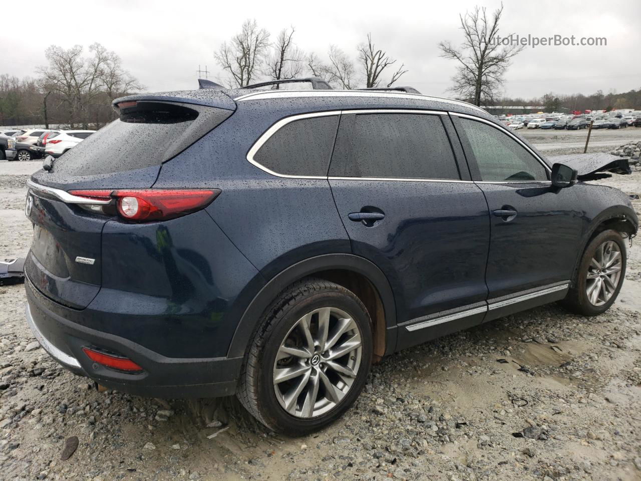 2018 Mazda Cx-9 Grand Touring Blue vin: JM3TCADY6J0215045