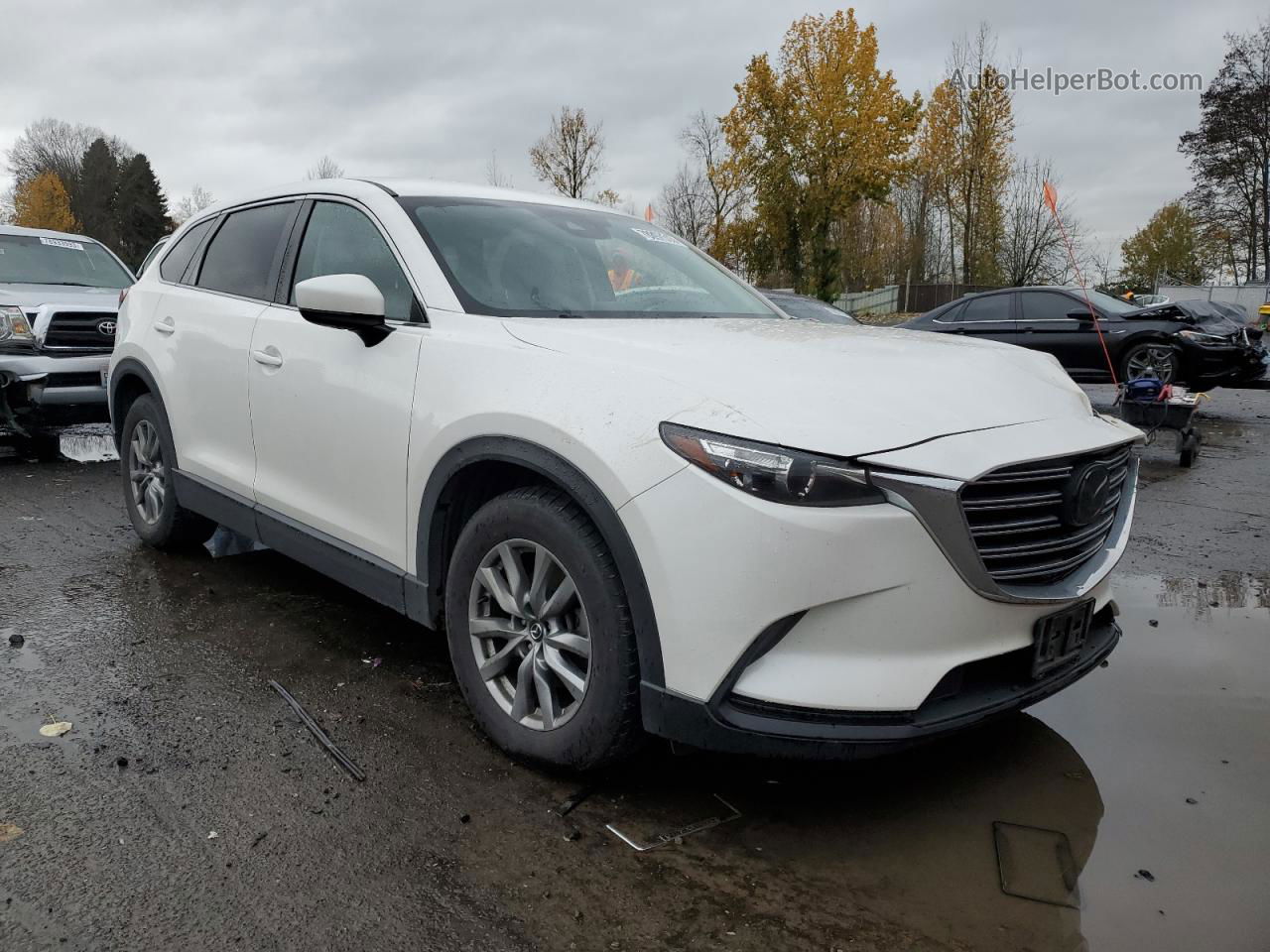 2018 Mazda Cx-9 Sport Белый vin: JM3TCBBY7J0217363