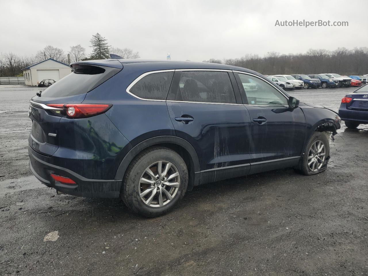 2018 Mazda Cx-9 Touring Blue vin: JM3TCBCY5J0215917