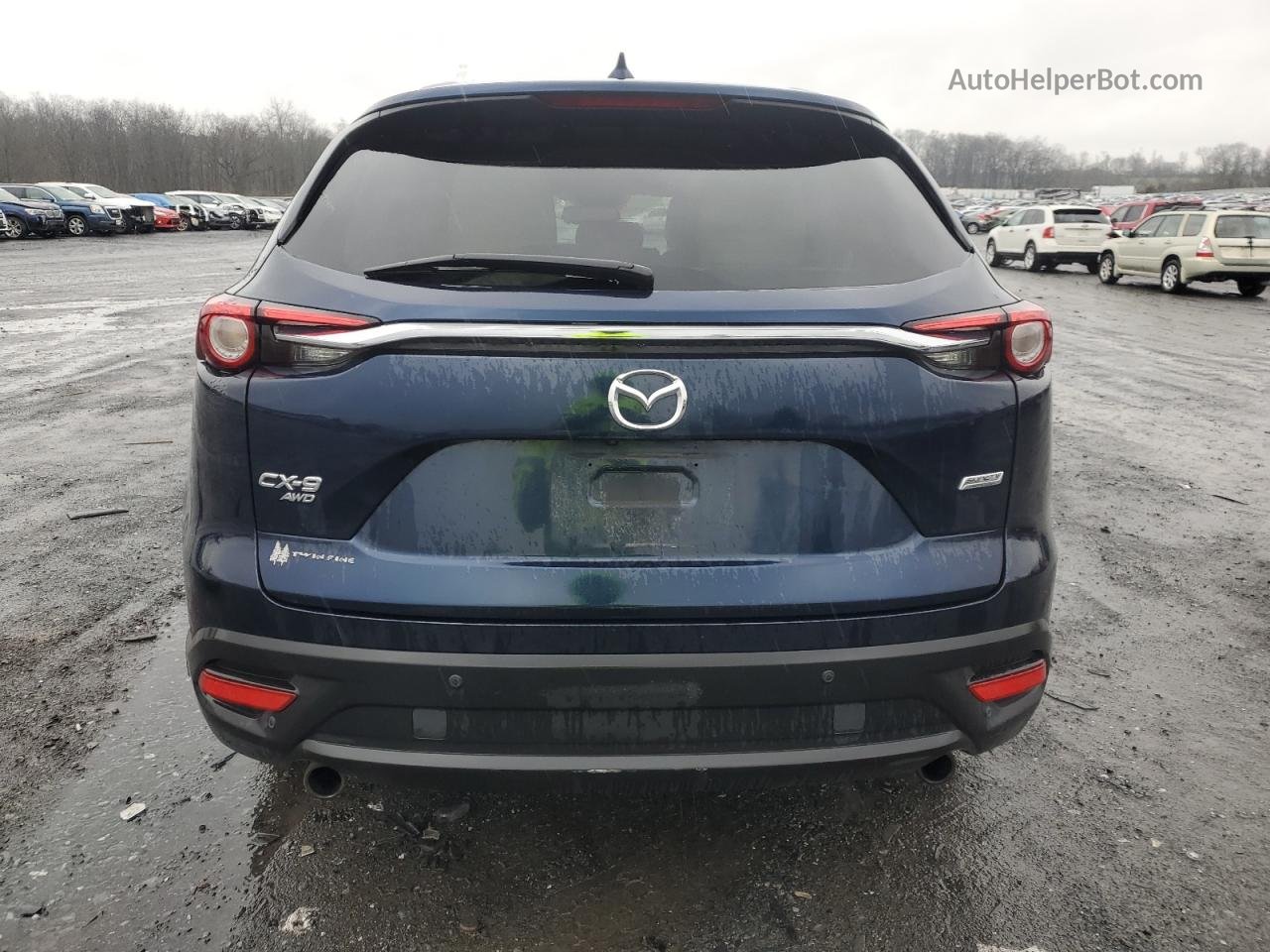 2018 Mazda Cx-9 Touring Blue vin: JM3TCBCY5J0215917