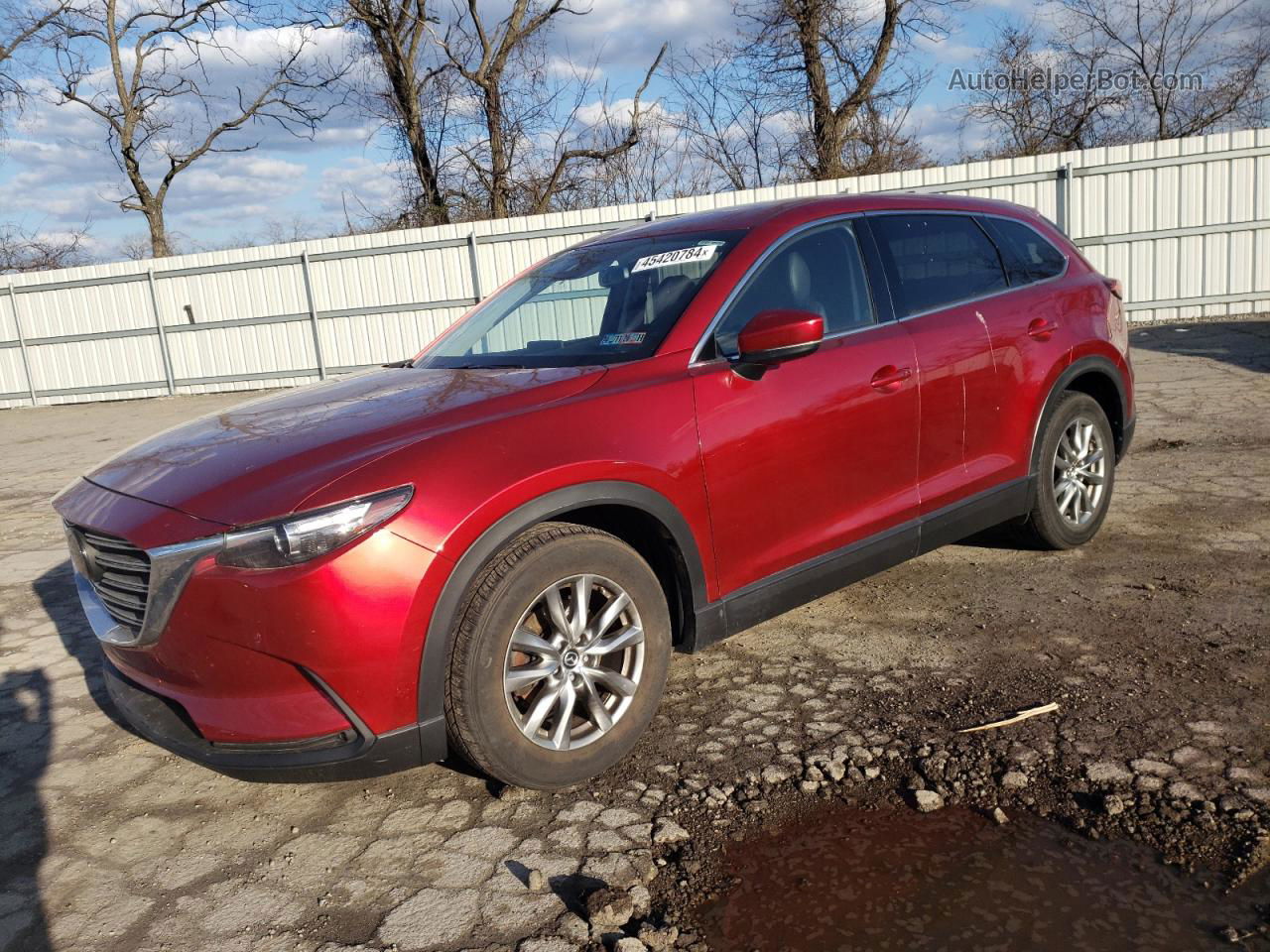 2018 Mazda Cx-9 Touring Красный vin: JM3TCBCY8J0225566