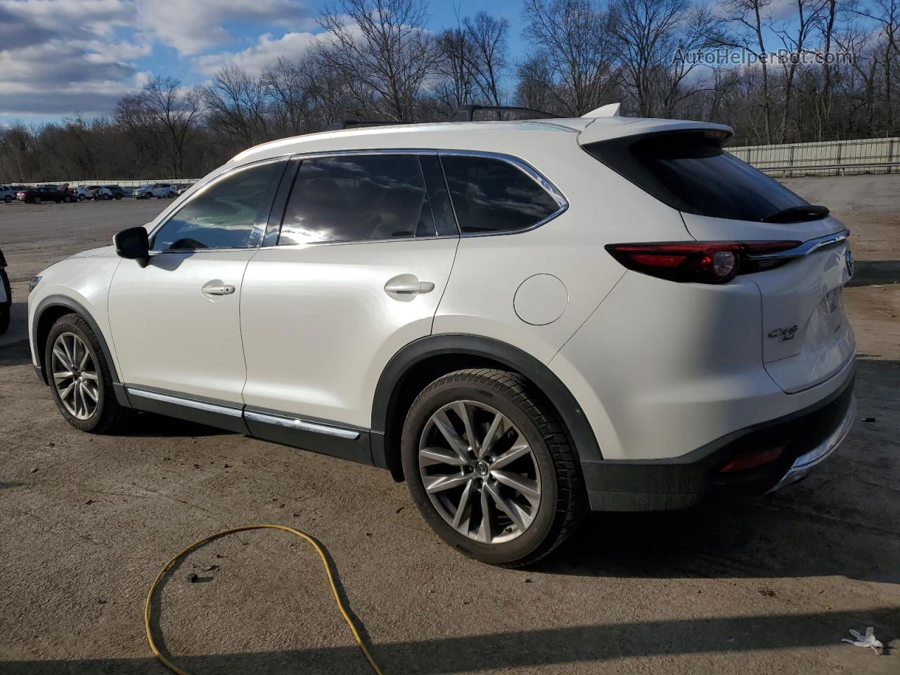 2018 Mazda Cx-9 Grand Touring Белый vin: JM3TCBDY1J0204587