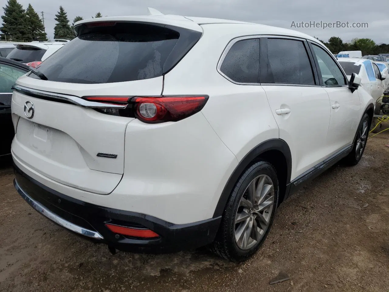 2018 Mazda Cx-9 Grand Touring White vin: JM3TCBDY5J0224132