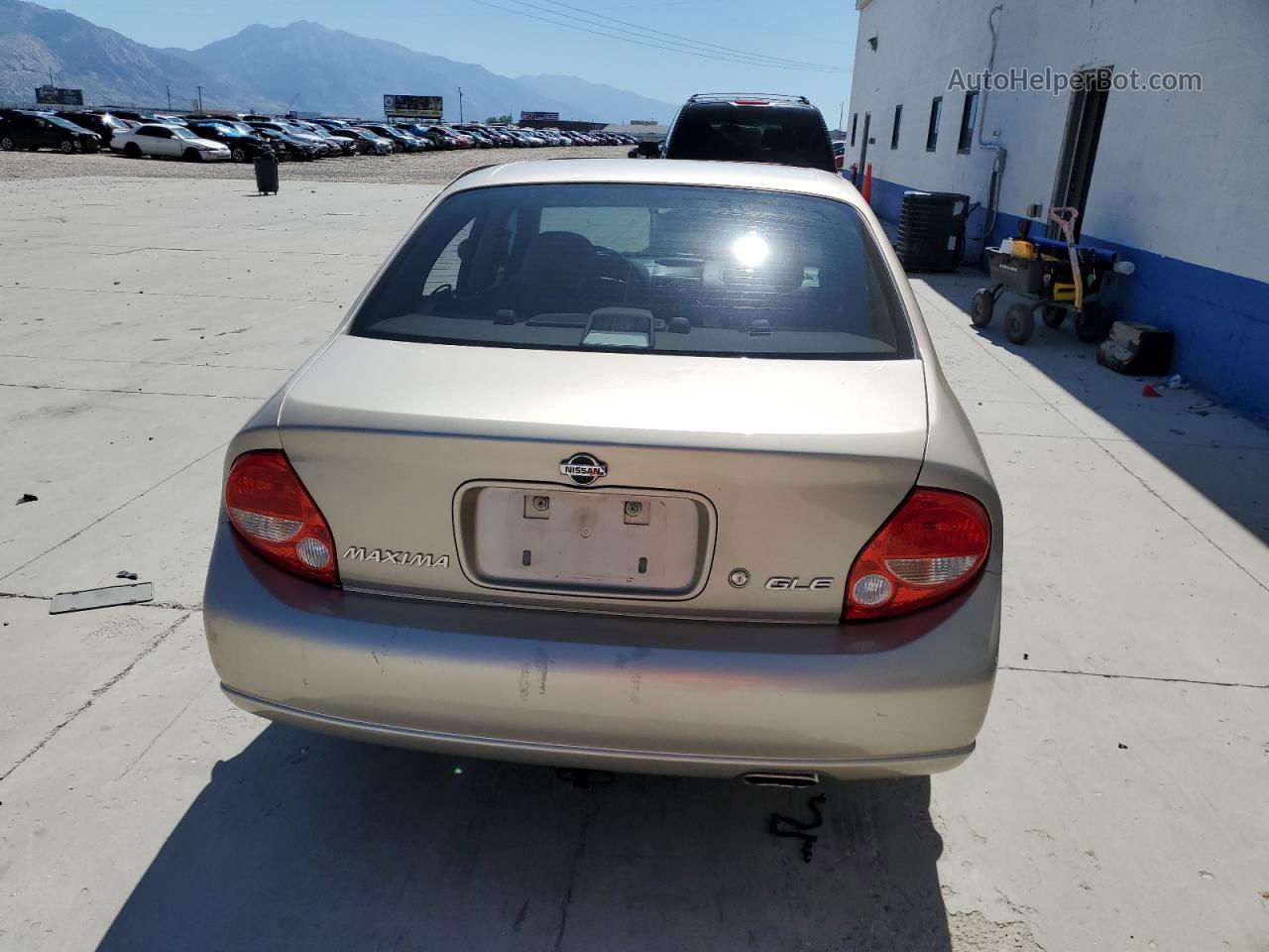 2000 Nissan Maxima Gle Tan vin: JN1CA31A1YT200966