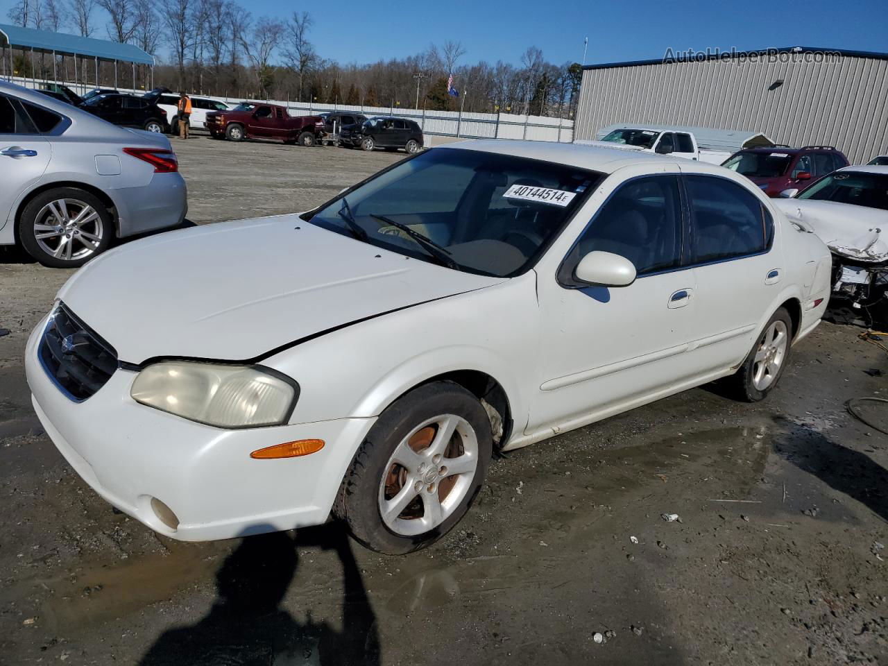 2000 Nissan Maxima Gle White vin: JN1CA31A5YT031941