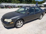 2000 Nissan Maxima Gle Black vin: JN1CA31A7YT213883