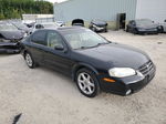 2000 Nissan Maxima Gle Black vin: JN1CA31D0YT551409