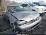 2000 Nissan Maxima Gle/gxe/se Gray vin: JN1CA31D0YT745602