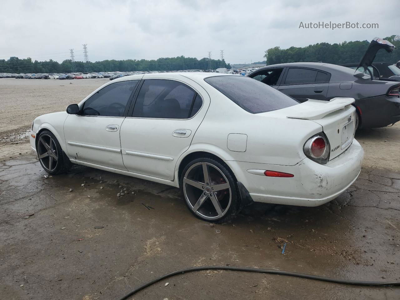 2000 Nissan Maxima Gle White vin: JN1CA31D1YT714892