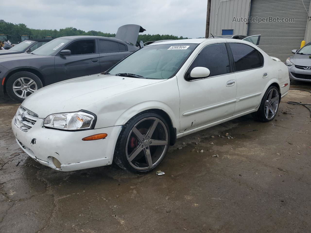 2000 Nissan Maxima Gle White vin: JN1CA31D1YT714892