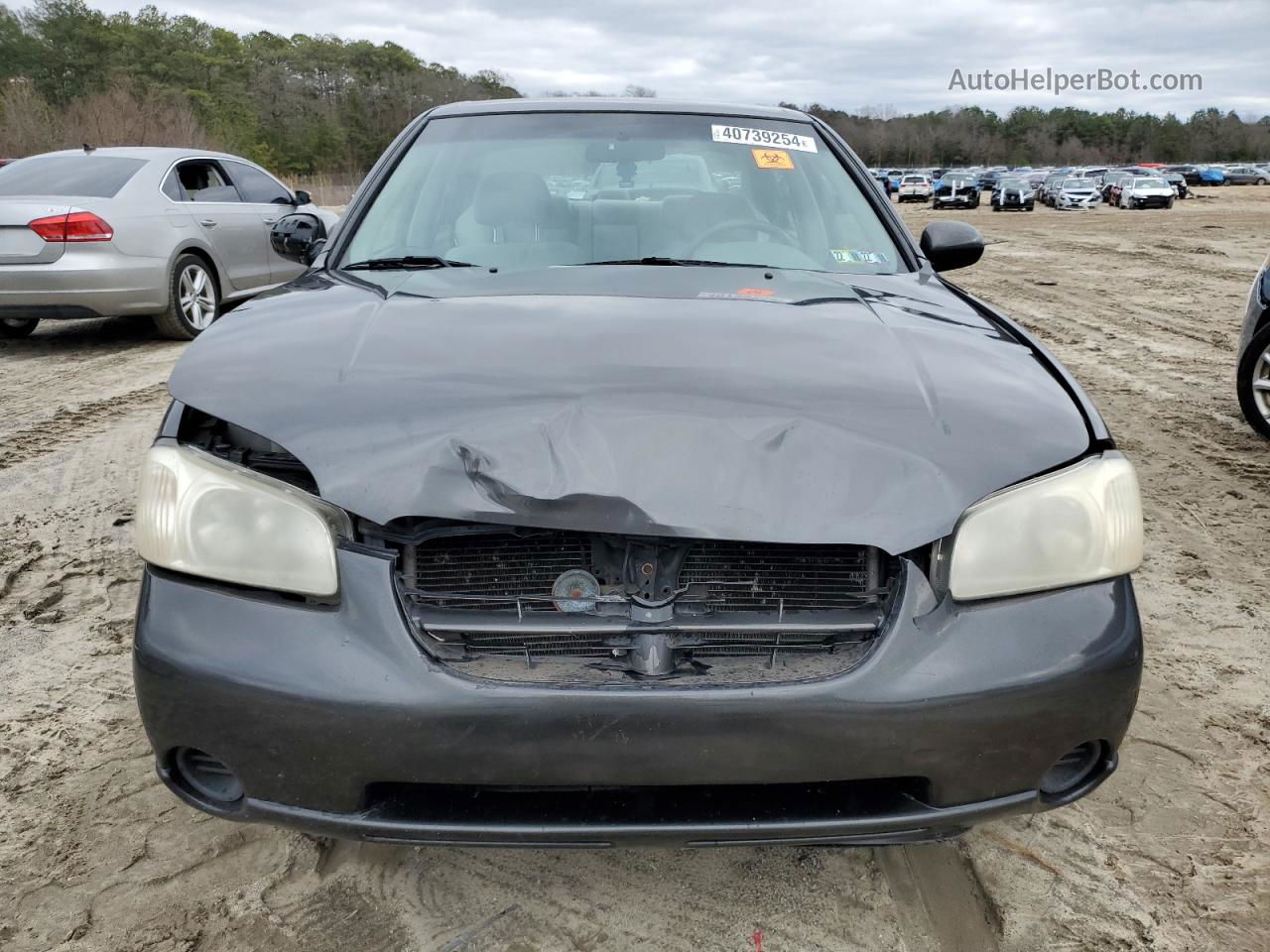 2000 Nissan Maxima Gle Gray vin: JN1CA31D1YT768287