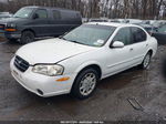 2000 Nissan Maxima Gle/gxe/se White vin: JN1CA31D3YT510577