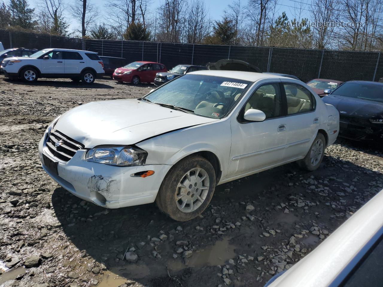 2000 Nissan Maxima Gle White vin: JN1CA31D3YT741429