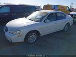 2000 Nissan Maxima Gle/gxe/se White vin: JN1CA31D3YT744556