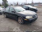 2000 Nissan Maxima Gxe/gle/se Черный vin: JN1CA31D4YT709864