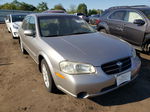 2000 Nissan Maxima Gle Gray vin: JN1CA31D4YT715616