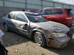 2000 Nissan Maxima Gle Серый vin: JN1CA31D5YT553897