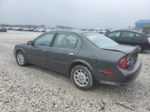 2000 Nissan Maxima Gle Gray vin: JN1CA31D5YT557626