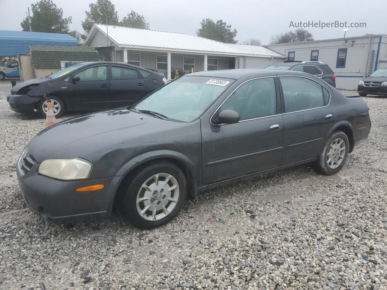 2000 Nissan Maxima Gle Gray vin: JN1CA31D5YT557626