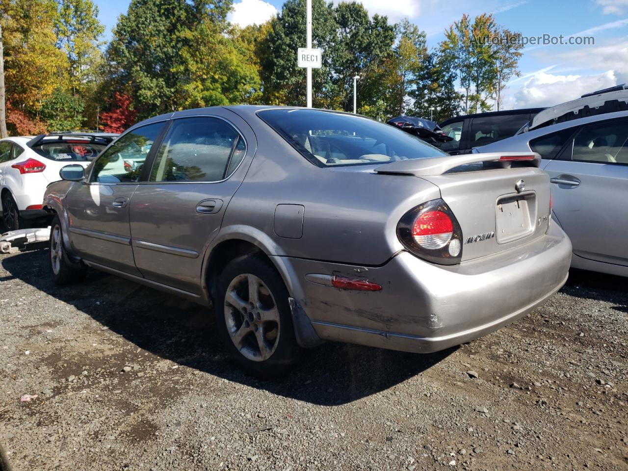 2000 Nissan Maxima Gle Желто-коричневый vin: JN1CA31D5YT709954