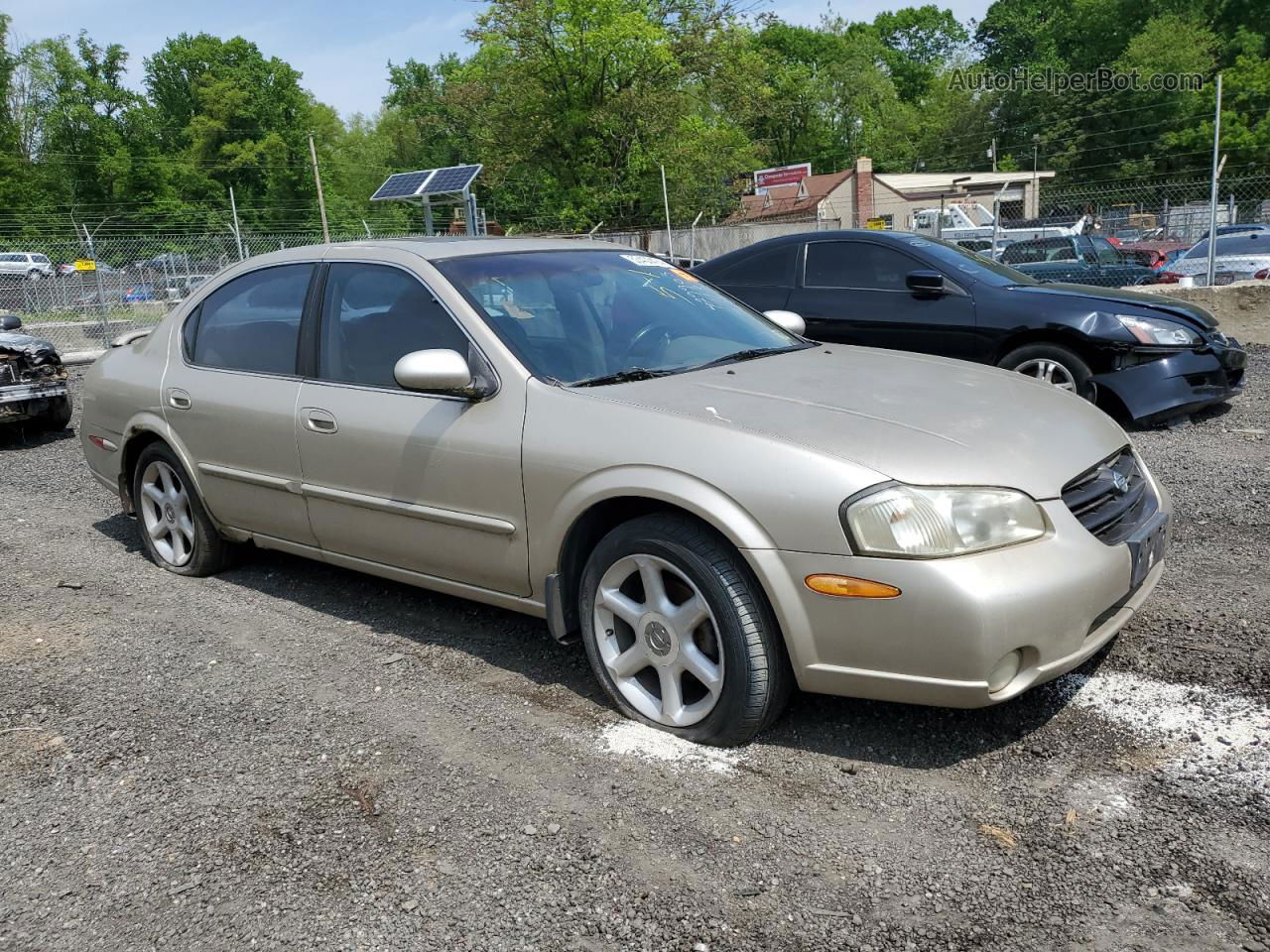 2000 Nissan Maxima Gle Золотой vin: JN1CA31D6YT517331